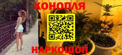 спайс Малгобек