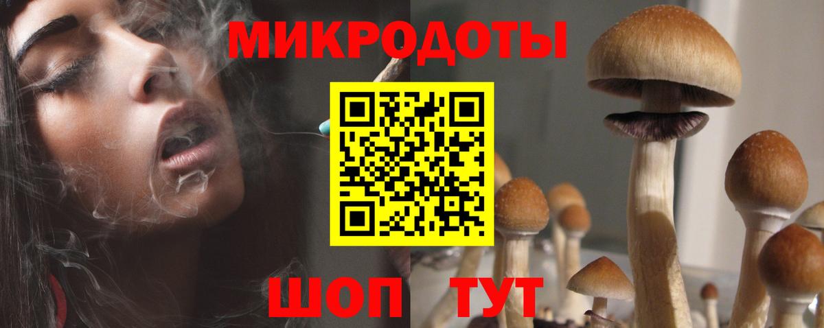 Юрга  Псилоцибиновые грибы ЛСД  Вход с VPN 
